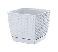 Prosperplast Maceta ratolla Square con Posavasos ratán. 15,5 cm Maceta Color Blanco