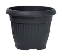 Prosperplast Maceta TERRA 13L Terracota para Jardín Blue