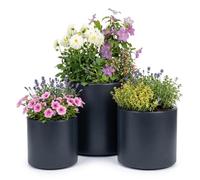 Prosperplast Macetero con inserción, de plástico resistente, para interior y exterior, resistente a los rayos UV y a las heladas, antracita, 46,8 x 45 cm