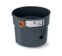 Prosperplast macetero para tomates con ayuda para enredaderas, de plá