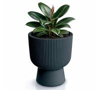 Prosperplast Milly - Maceta de diseño Moderno con Forma de Cilindro, para Interior y Exterior, Resistente a Las heladas, Resistente al Calor y a los Rayos UV (Antracita, 239 mm)