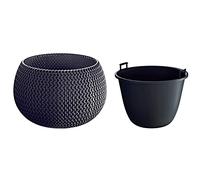 ProsperPlast Nitly Maceta Redonda con deposito Splofy Bowl de plastico en Color Antracita (Largo) x 23,9 (Ancho) x 16,1 (Altura) cm