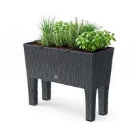 Prosperplast Zanvic Rato Jardinera Antracita ZA703, 60 cm