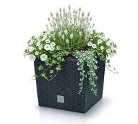 Prosperplast Maceta Zanvic Rato Antracita 26,5 x 26,5 cm