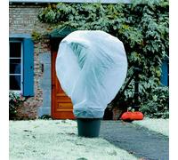 Protector invernal de plantas Velo Wintertex (Ø x Al: 2 x 5 m)