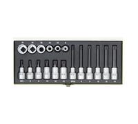 PROXXON 23 296 Kit Especial para Tornillos de Cabeza Estriada XZN 1/2", 18 Piezas, gris