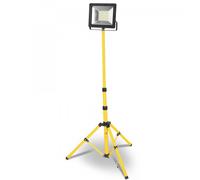 Proyector led tripode 5mt.1x30w.fria