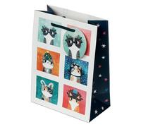 Puckator XGBAG95B Bolsa de Regalo Navidad Planet Cat/Gatos/Angie Rozelaar, Medio, Caja de 12