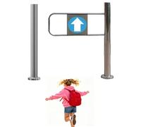 Puerta batiente de Seguridad de Acceso Cargado ng-Ng, Puertas batientes de Entrada Manual para Edificios/instalaciones de oficinas Passion, Puerta de Seguridad unidireccional de Alta resiste