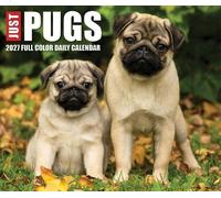 Willow Creek Press, Just Pugs 2027 - Calendario de caja de 5.4 x 6.2 pulgadas