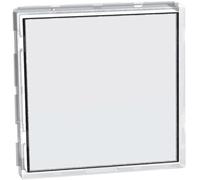 Pulsante targa portanome 3A 250Vacm Illuminato Bticino J4040