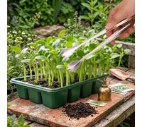 PureBowlic Juego de pinzas y pinzas de acero inoxidable para trasplante de plantas para puntas rectas curvadas en ángulo para siembra suave, cuidado de suculentas, hidroponía, alimentación de mascotas