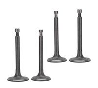 Pwshymi Kit de Válvula de Escape de Admisión, Piezas Originales Originales para Generadores de Gasolina 170F GX210, Juego de 2 Piezas para Agricultura y Silvicultura