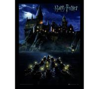 Pyramid International Cuadro Harry Potter (Hogwarts School) Framed 30 x 40cm
