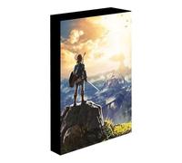 Pyramid International - Marco retroiluminado Zelda - Into the wilds - 30x40cm