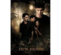 Pyramid International Neca Twilight: New Moon 3D Lenticular Poster