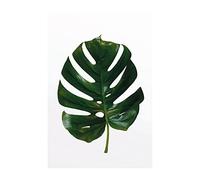 Pyramid International - Póster (50 x 70 cm), diseño de Monstera Leaf
