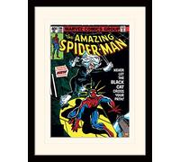 Pyramid International Spider-Man Spiderman (Gato Negro) 30x40 cm montado y Enmarcado
