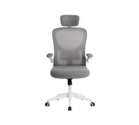 Q-connect Silla Ergonómica de Malla Blanco/gris