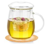 QHYK Taza de té de vidrio, Grande 500 ml, taza con colador y tapa de vidrio, taza de té de borosilicato para té negro, bebidas, café helado, bolsitas de té