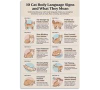 QMKADFQXF Cat Tail Ears Eyes Body Language Poster Educational Print Home Wall Decor(Framed,12x18inch(30x45cm))