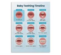 QMKADFQXF Teeth Chart Poster Pediatric Guide For First Time Parents Educational Wall Decor(Unframed,08x12inch(20x30cm))