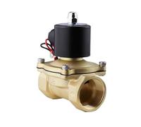 QRUYHBAJU Válvula solenoide Normalmente Cerrada 2W025-08/2W040-10/2W160-15 válvula de Agua válvula de Aire 2 Minutos 3 Minutos 4 Minutos 6 Minutos 1 Pulgada(2W200 20 All Copper AC220V)