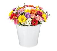 QUARKZMAN Baldes Metálicos Mini, 18 x 13 x 16.5cm / 7.09 5.12 6.5pulgadas Pequeños Baldes Decorativos Con Asa Contenedores De Hojalata Para Dulces Bocadillos Favores De Fiesta Blanco