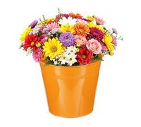 QUARKZMAN Baldes Metálicos Mini, 18 x 13 x 16.5cm / 7.09 5.12 6.5pulgadas Pequeños Baldes Decorativos Con Asa Contenedores De Hojalata Para Dulces Bocadillos Favores De Fiesta Naranja