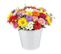 QUARKZMAN Baldes Metálicos Mini, 7 X 5 X 6cm / 2.76 1.97 2.36inch Pequeños Baldes Decorativos Con Asa Recipientes De Hojalata Para Caramelos Bocadillos Favoritos De Fiesta Blanco