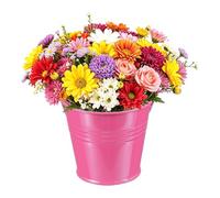 QUARKZMAN Baldes Metálicos Mini, 7 X 5 X 6Cm / 2.76 1.97 2.36Pulgadas Pequeños Baldes Decorativos Con Asa De Hojalata Para Caramelos Bocadillos Favores De Fiesta Suculentas Rojo Rosa