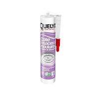 Quelyd 30604433 - Pegamento rosetas molduras, 310 ml, color blanco