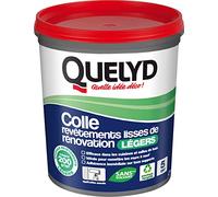 Quelyd Pegamento para revestimientos lisos de renovación ligeros - Aplicación de pared - Eficaz en cocinas y baños - Todos los soportes - 1 maceta 1 kg