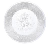 Quid Plato de Presentación Vidrio Lonja 32,7 cm (12 Unidades) de color Transparente