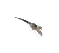 QUILSTM Señuelo de pájaro Volador: ahuyenta fácilmente a pájaros, Conejos y roedores. Señuelo de búho: Falso Repelente de Palomas y halcones. Señuelos