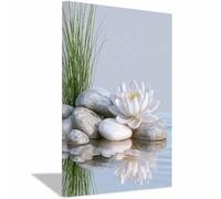 QUSAAOU Cuadro ImpresióN Nenúfar blanco piedras lisas reflejo agua tranquila!Blanco Painting Mural Lienzo ImpresióN En Lienzo De Paisajes Para BañO Entrada VestíBulo CafeteríA -20x30cm Enmarcado
