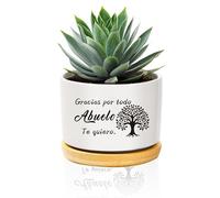 QWZify Regalo Abuelo CumpleañOs Regalos para Abuelos Macetas Decorativas Interior Regalos Abuelos Originales Maceta Ceramica Macetero Blanco Vaso Planta Gracias por Todo Abuelo Te Quiero