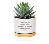 QWZify Regalo Padre CumpleañOs Regalo para Padre Regalos para Papa Macetas Decorativas Interior Regalos Originales para Hombre Papá Padres Maceta Ceramica Vaso Planta Macetero Blanco