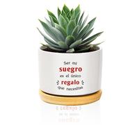 QWZify Regalo Suegro Regalos para Suegros Originales Macetas Decorativas Interior Regalos Suegro CumpleañOs Ser Mi Suegros Es El úNico Regalo Que Necesitas Maceta Ceramica Vaso Planta Macetero Blanco