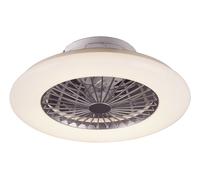 Rabalux Dalfon plafón 1x30 W blanco-plata 6859