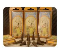 Radhe Shyam Cono Incienso Scented Garden Musk 15 uds