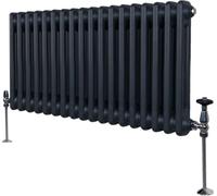 Radiador tradicional de 2 columnas - 300 x 832 mm - Gris antracita