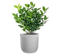 Raffaello, jarra cilíndrica de resina de 35x34 cm, ideal para plantas de interior y jardín