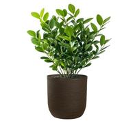 Raffaello Marrone: Jarra cilíndrica de resina de 35x34 cm, ideal para plantas de interior y jardín