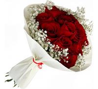 Ramo de 10 Rosas Rojas Frescas Naturales con Paniculata