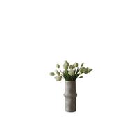 Ramo mixto de tulipanes Blanco