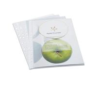 Rapesco 1104 ECO Fundas Perforadas Multi Taladro, A4, Transparente, Paquete de 100