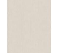 Rasch A.S. Création 521474 Concrete - Papel pintado no tejido (10,05 x 0,53 m), color gris
