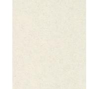Rasch A.S. Création Andy Wand 649314 - Papel pintado no tejido (universal, 10,05 x 0,53 m), color blanco