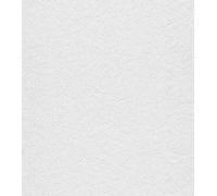 Rasch Home Style 823127 - Papel pintado con estructura de yeso, 10,05 x 0,53 m (largo x ancho), color blanco
